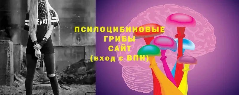 цена   Астрахань  Псилоцибиновые грибы мухоморы 